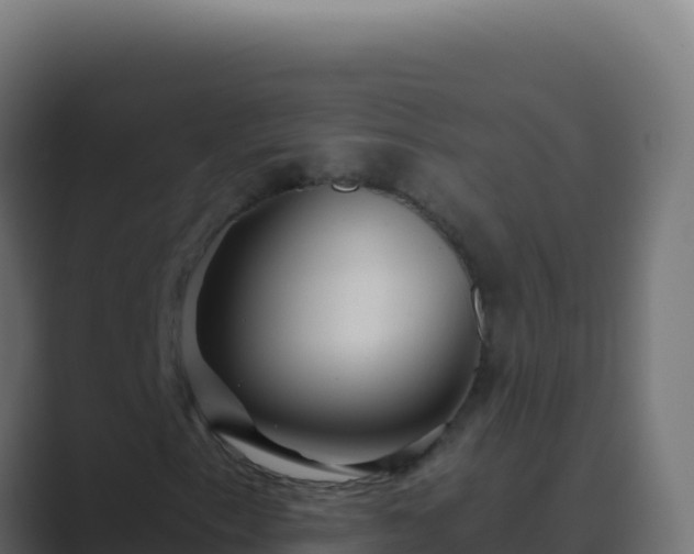 X0000089751153200706281620