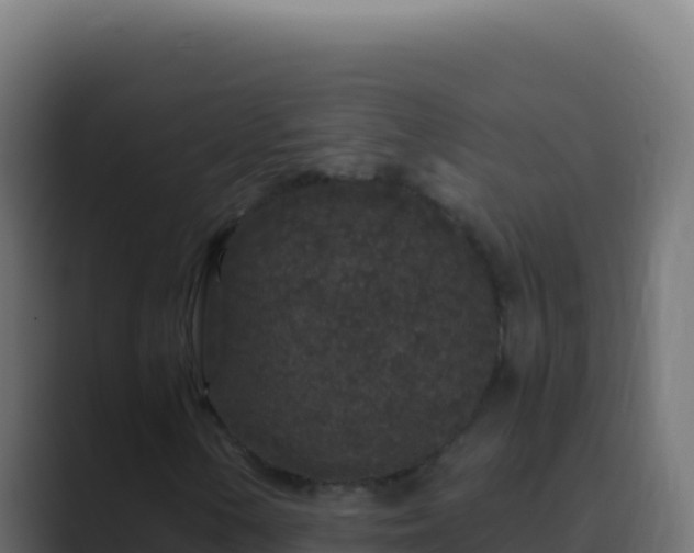X0000089751154200706281620