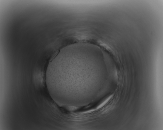 X0000089751156200706281620
