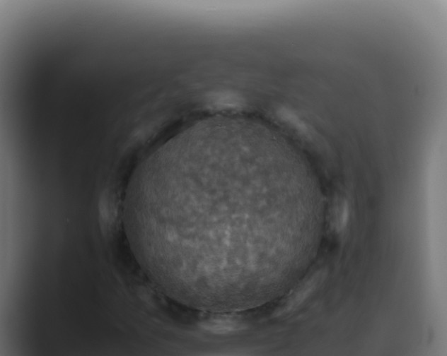 X0000089751157200706281620