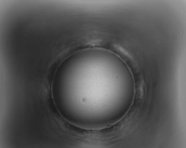 X0000089751158200706281620
