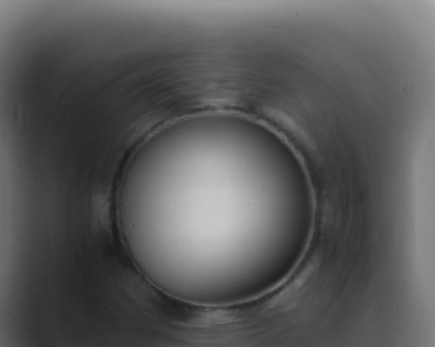 X0000089751162200706281620