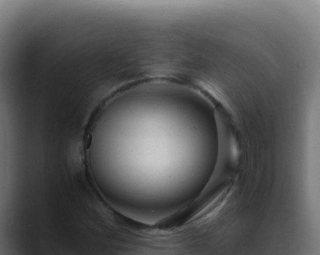 X0000089751164200706281620