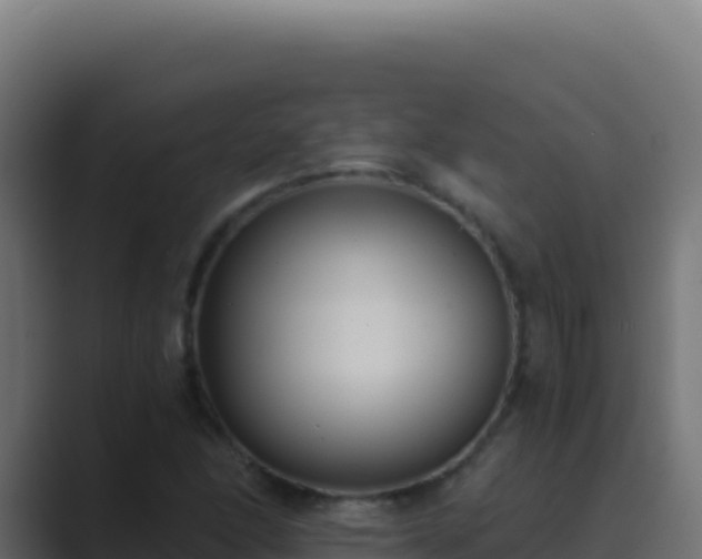X0000089751166200706281620