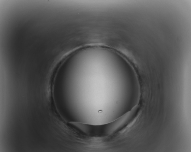 X0000089751167200706281620