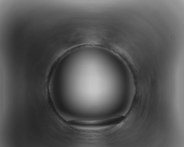X0000089751168200706281620