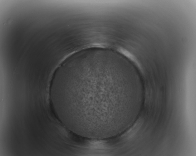 X0000089751170200706281620
