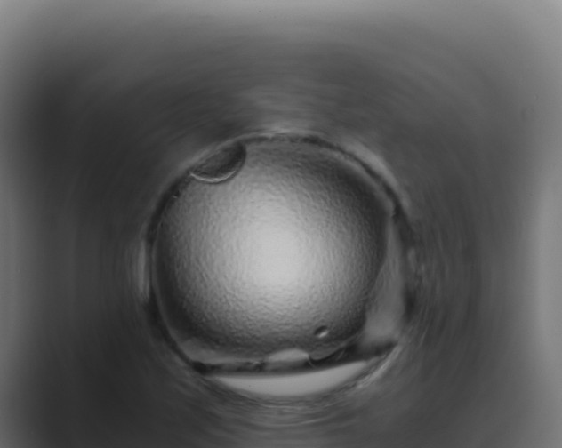 X0000089751171200706281620