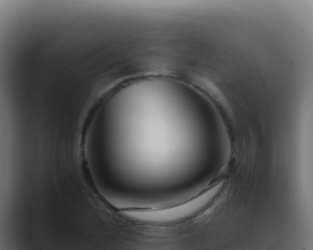X0000089751172200706281620