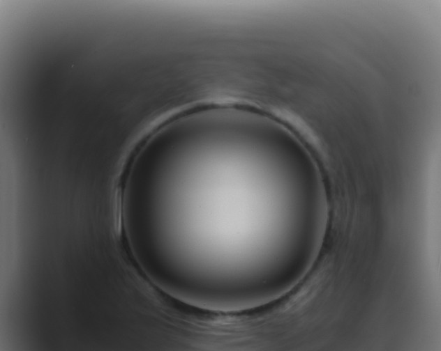 X0000089751175200706281620