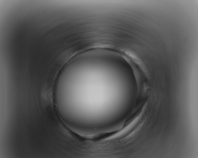X0000089751177200706281620