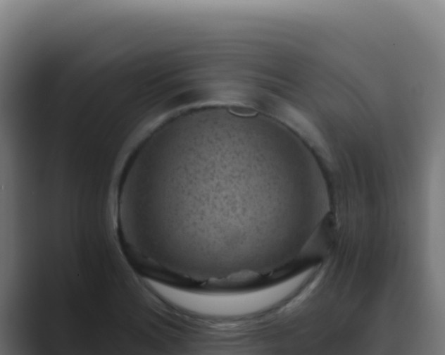 X0000089751180200706281620