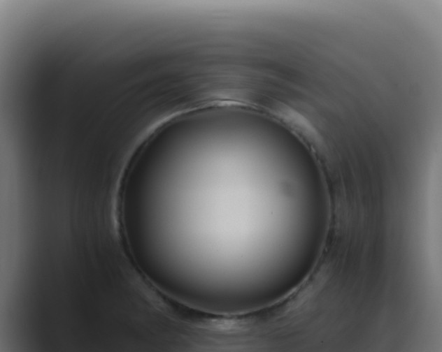 X0000089751182200706281620