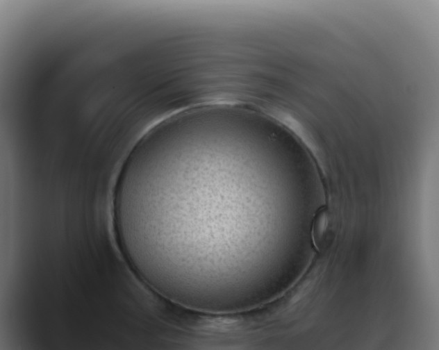 X0000089751187200706281620