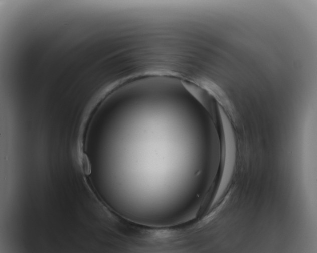 X0000089751188200706281620
