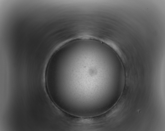 X0000089751191200706281620