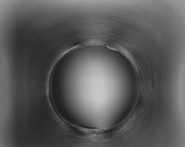 X0000089751195200706281620
