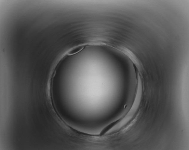 X0000089751196200706281620
