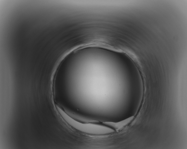 X0000089751200200706281620
