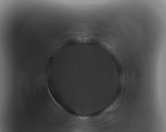 X0000089751202200706281619