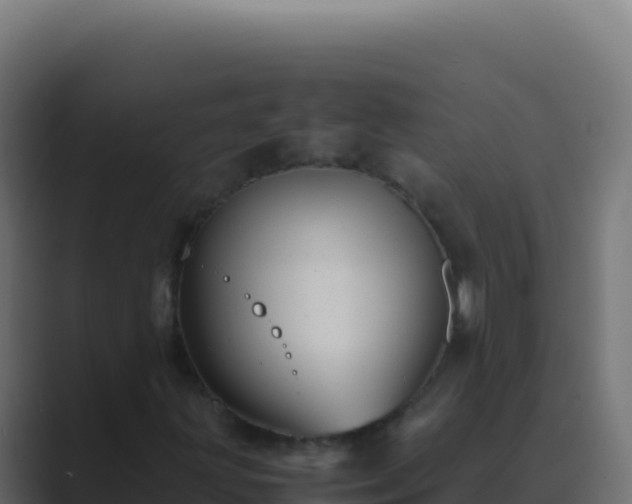 X0000089751203200706281619