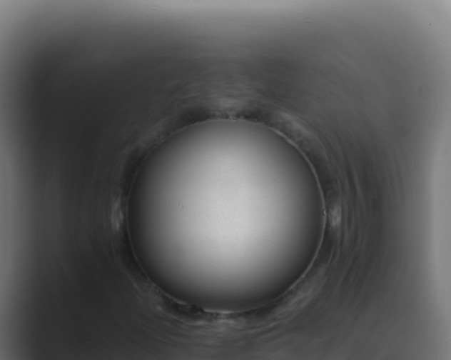 X0000089751204200706281619