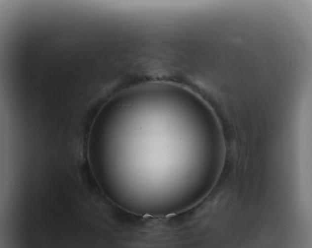 X0000089751205200706281619
