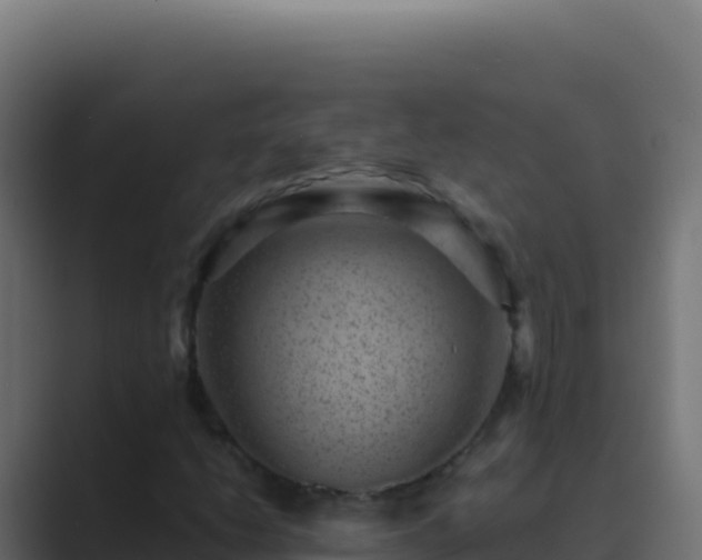 X0000089751206200706281619