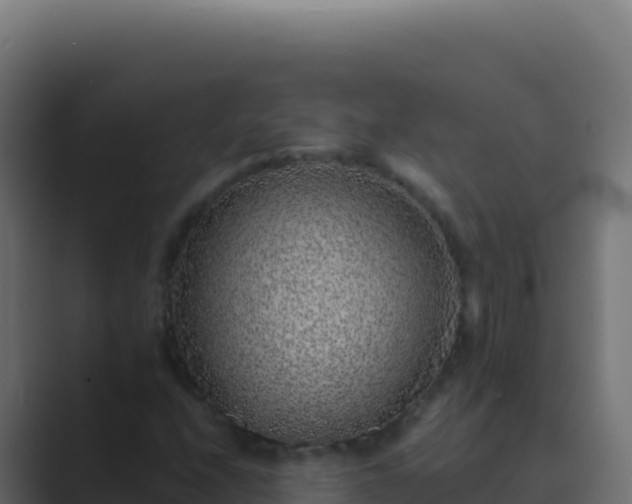 X0000089751208200706281619