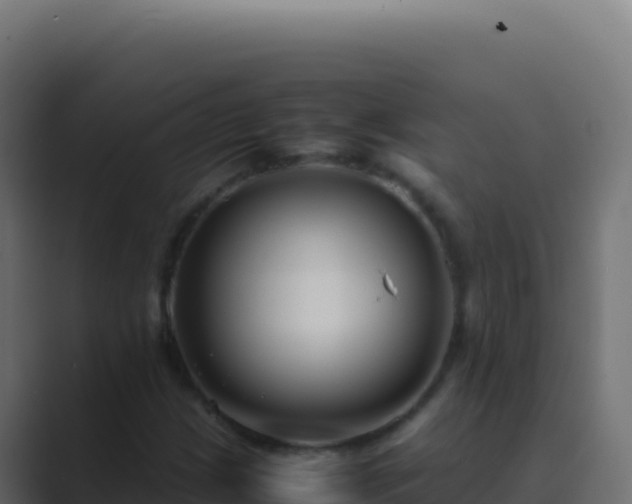 X0000089751209200706281619