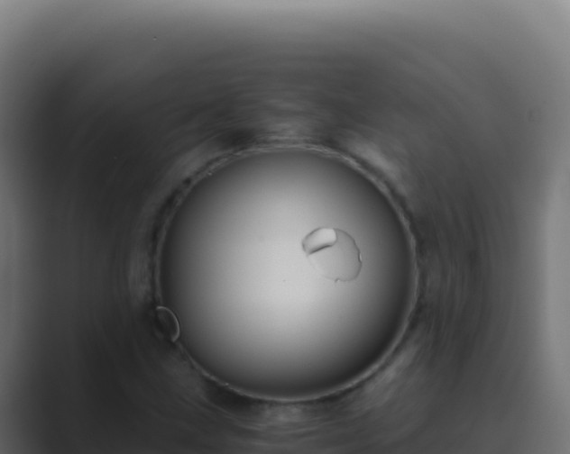 X0000089751211200706281619
