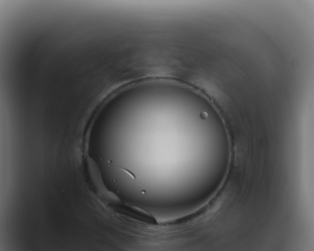 X0000089751212200706281619
