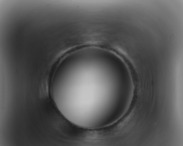X0000089751214200706281619
