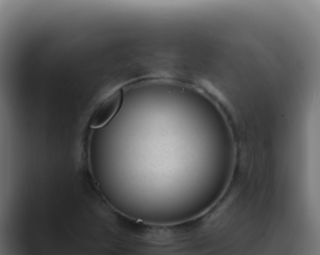X0000089751215200706281619