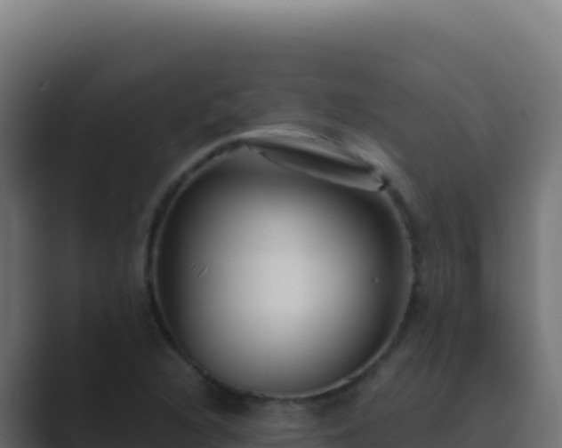 X0000089751216200706281619