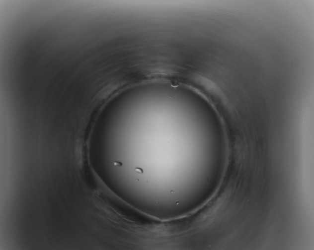 X0000089751217200706281619