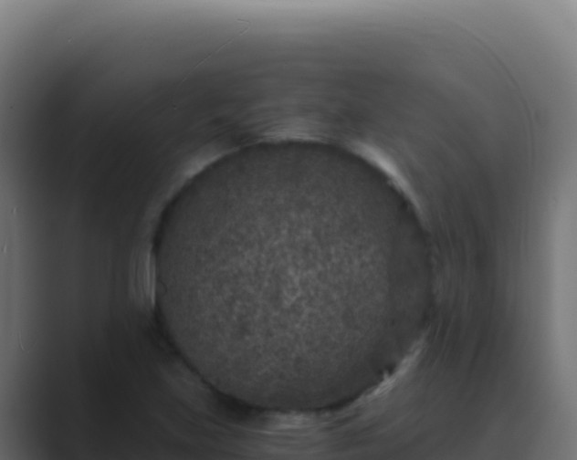 X0000089751219200706281619
