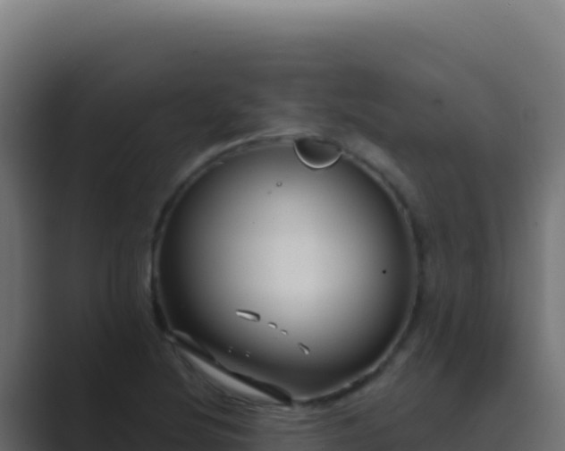 X0000089751220200706281619