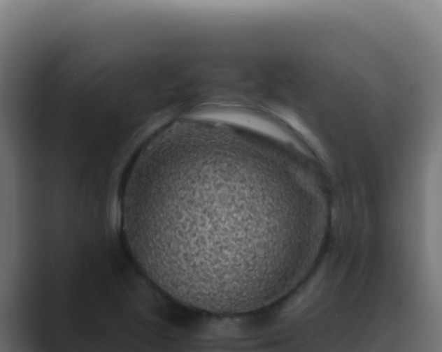 X0000089751221200706281619
