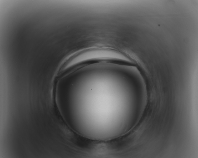 X0000089751222200706281619