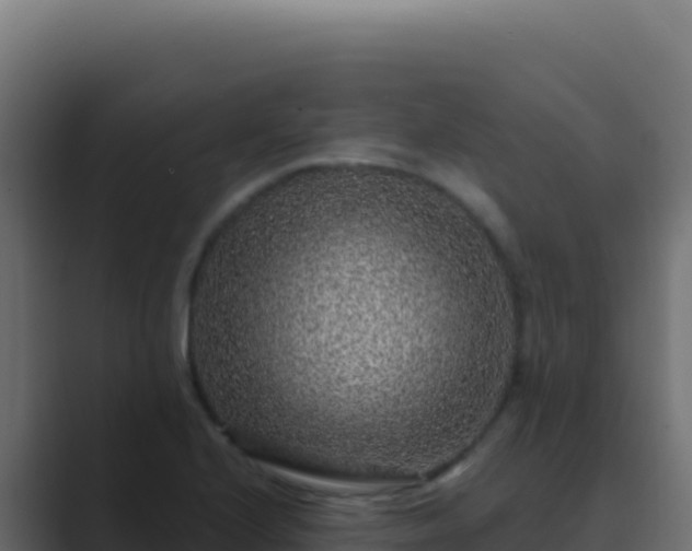 X0000089751224200706281619