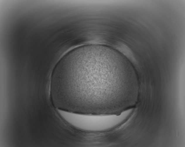 X0000089751228200706281620