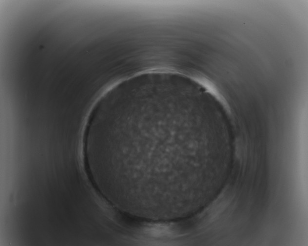 X0000089751229200706281620