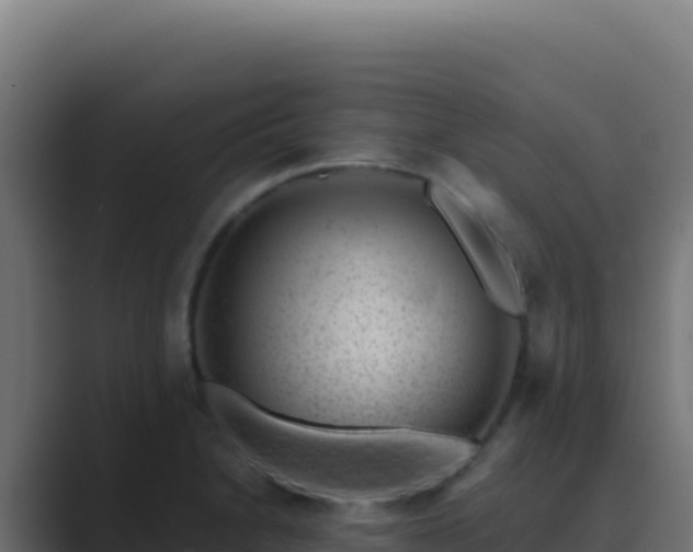 X0000089751230200706281620