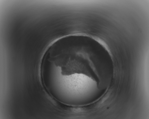 X0000089751231200706281620