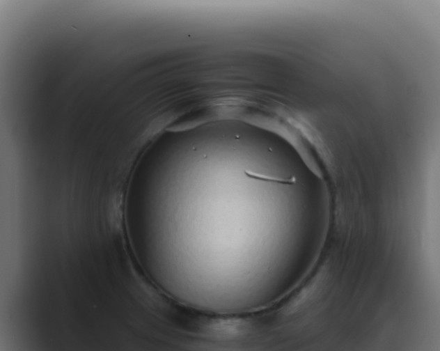 X0000089751233200706281620