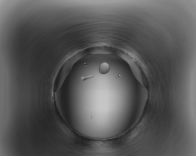X0000089751234200706281620