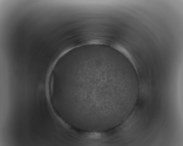 X0000089751235200706281620
