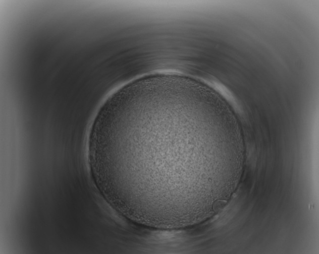 X0000089751240200706281620