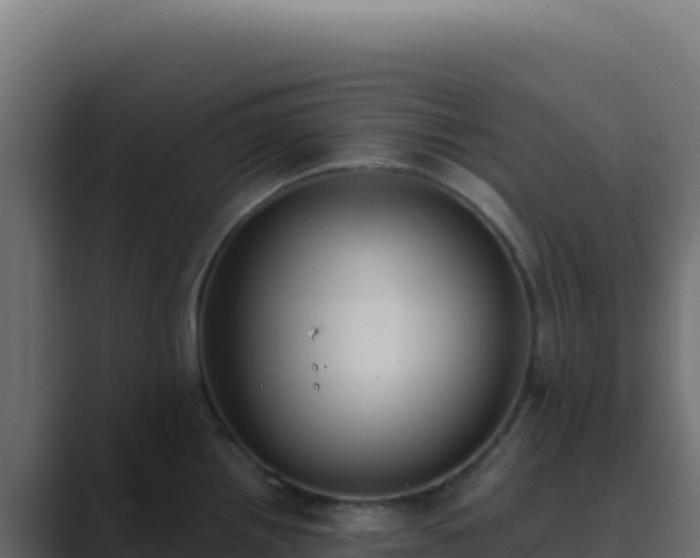 X0000089751242200706281620